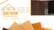 tu-xua-nguoi-dep-vi-lua-ngay-nay-nha-dep-vi-tam-op-sr12