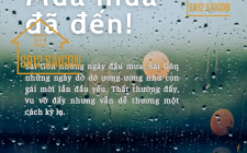 Mùa Mưa Đã Đến - Loại Bỏ Nỗi Lo Thấm Dột Với Tấm Ốp Nhựa SR12 SÀIGÒN!